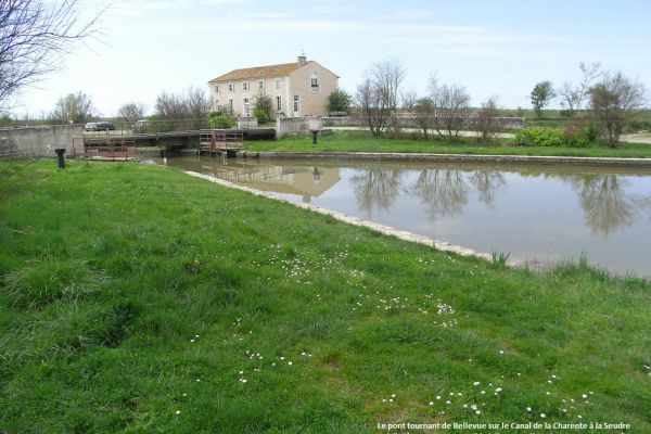 Canal Charente-Seudre 011 auteur signé